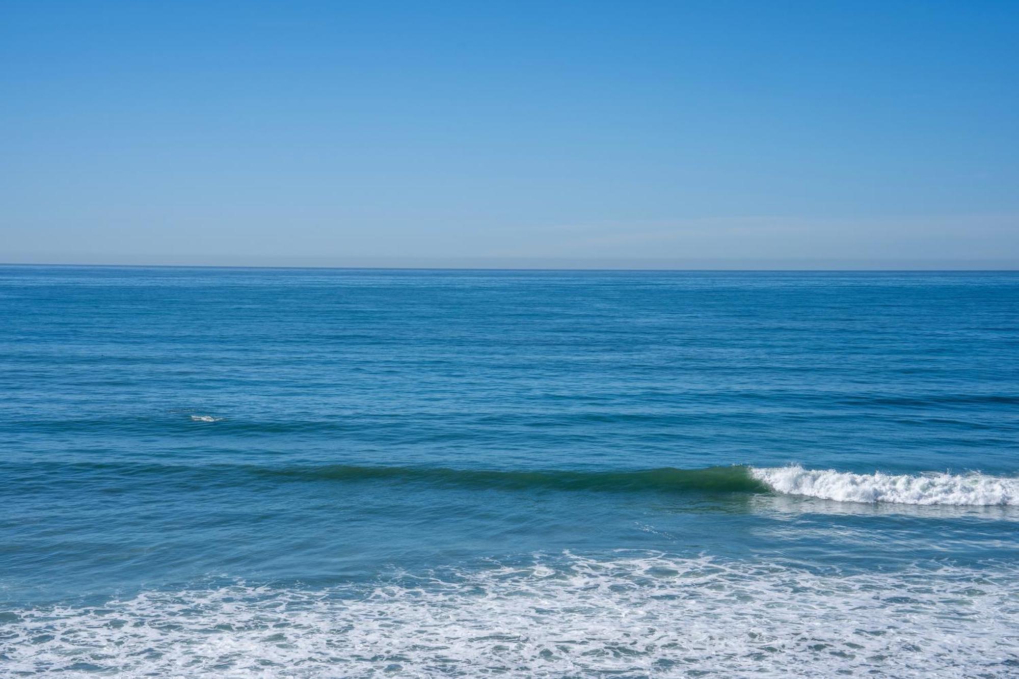 Beachfront Breathtaking 1 Bedroom Apt Tijuana Exteriör bild